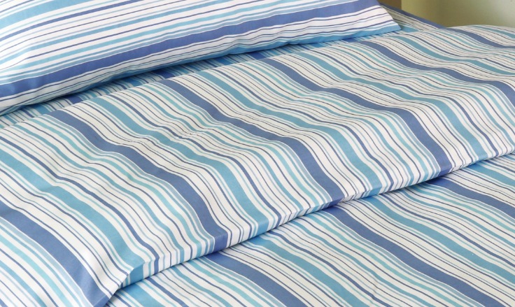 Blue Ridge Mountains