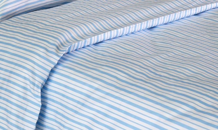 Blue Ridge Mountains