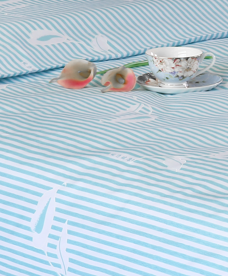 Blue Ridge Mountains